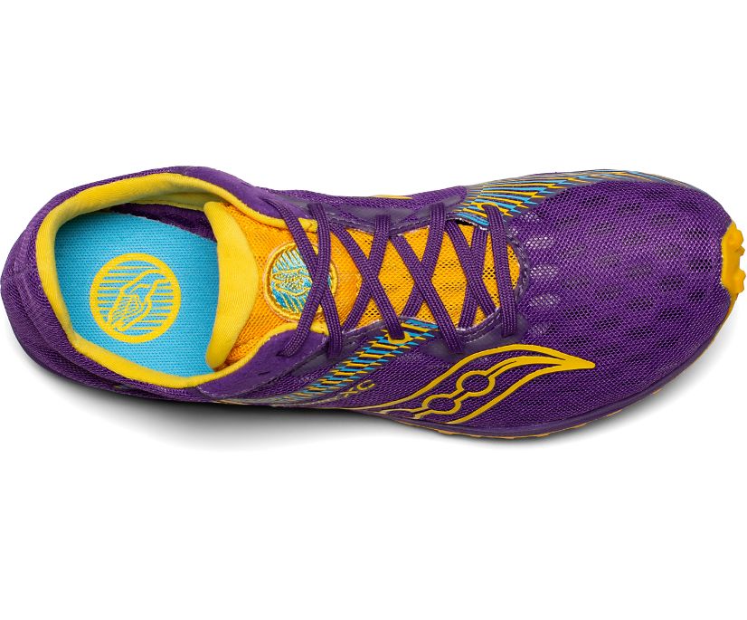 Purple / Gold Women's Saucony Kilkenny Xc9 Spike Running Shoes | WNVQO3297