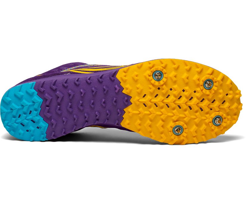 Purple / Gold Women's Saucony Kilkenny Xc9 Spike Running Shoes | WNVQO3297