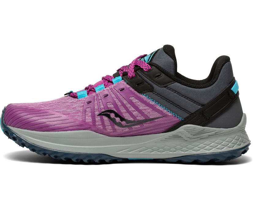 Purple / Grey Women's Saucony Mad River Tr 2 Trail Running Shoes | FDUWC8053