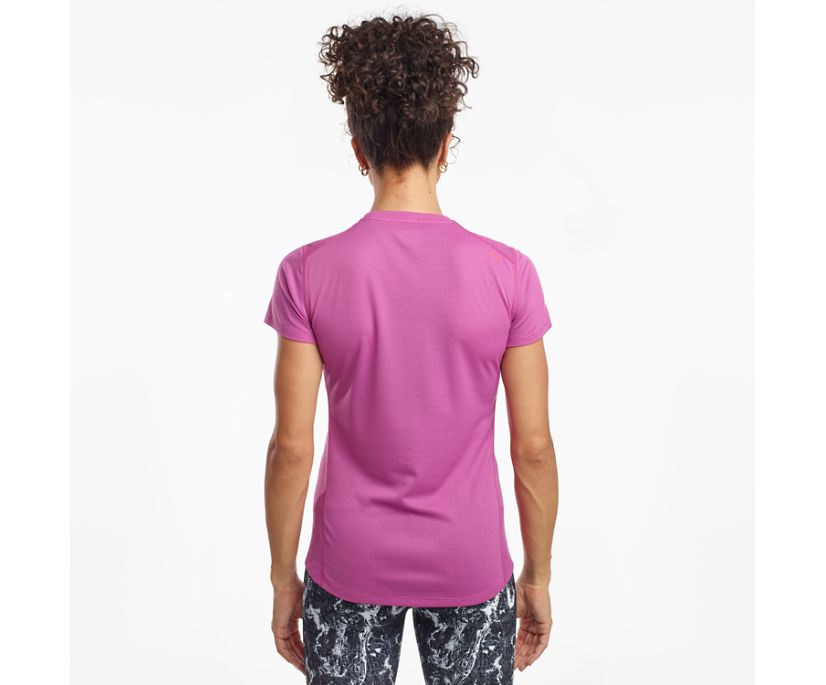 Purple Women's Saucony Stopwatch Short Sleeve Shirts | DBPMS1960