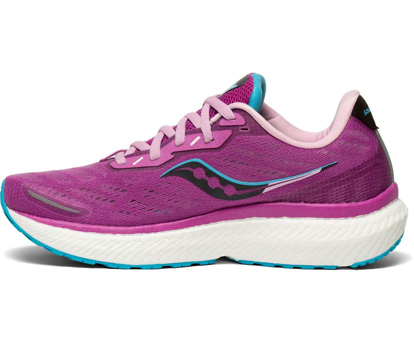 Purple Women's Saucony Triumph 19 Running Shoes | JGDSP9284